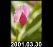 2001.03.30
