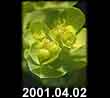 2001.04.02