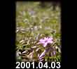 2001.04.03