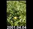 2001.04.04