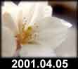 2001.04.05