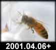 2001.04.06