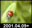 2001.04.09