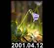 2001.04.12