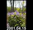 2001.04.15