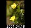 2001.04.18