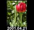 2001.04.21