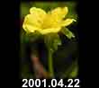 2001.04.22