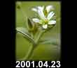 2001.04.23