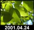 2001.04.24