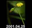 2001.04.25