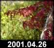 2001.04.26