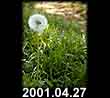 2001.04.27