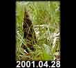 2001.04.28