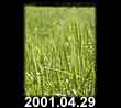 2001.04.29