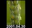 2001.04.30