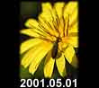 2001.05.01