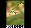 2001.05.02