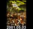 2001.05.03
