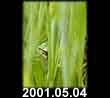 2001.05.04