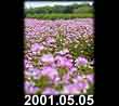 2001.05.05