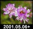 2001.05.06