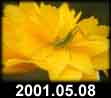 2001.05.08