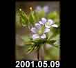 2001.05.09