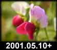 2001.05.10
