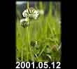 2001.05.12