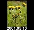 2001.05.13