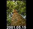 2001.05.15