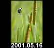 2001.05.16