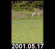 2001.05.17