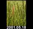 2001.05.18