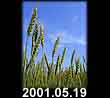 2001.05.19