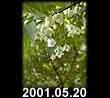 2001.05.20