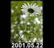 2001.05.22