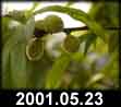 2001.05.23