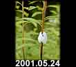 2001.05.24