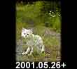 2001.05.26