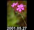 2001.05.27