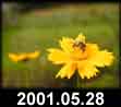 2001.05.28