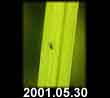 2001.05.30