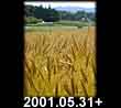 2001.05.31