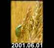 2001.06.01