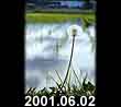 2001.06.02
