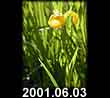 2001.06.03