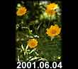 2001.06.04