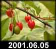 2001.06.05